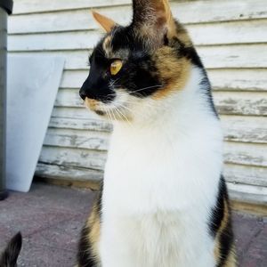 Meet your Posher, Carrie